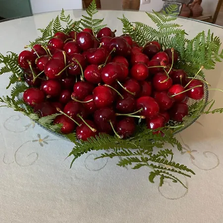 Puerto - Casa De Piedra Con Piscina Privada - Valle Del Ambroz - - Ideal Disfrutar En Familia O Grupo De Amigos * Casas del Monte