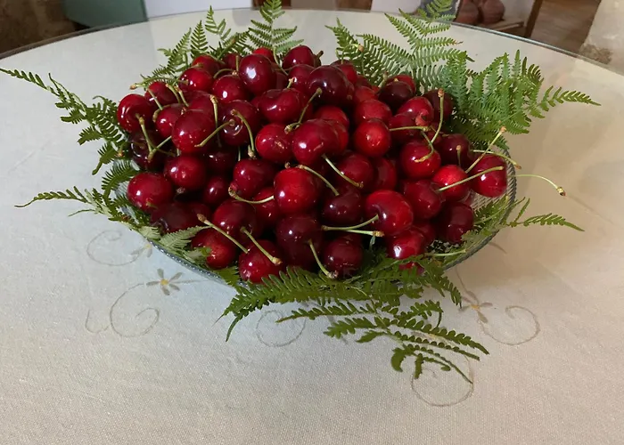 Puerto - Casa De Piedra Con Piscina Privada - Valle Del Ambroz - - Ideal Disfrutar En Familia O Grupo De Amigos * Casas del Monte